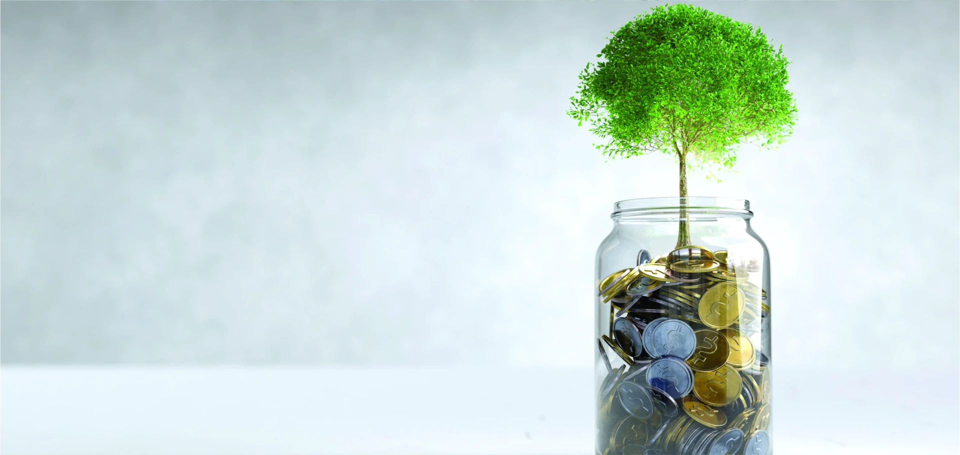 Fast & Hassle-Free Loans