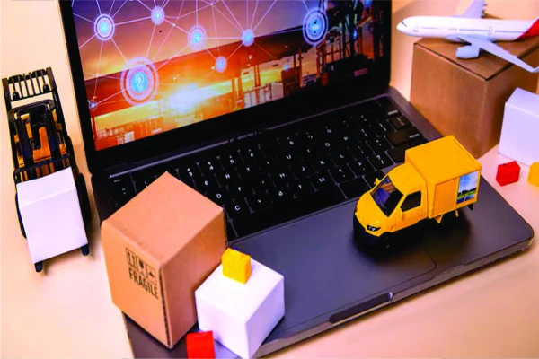 Importation And Exportation